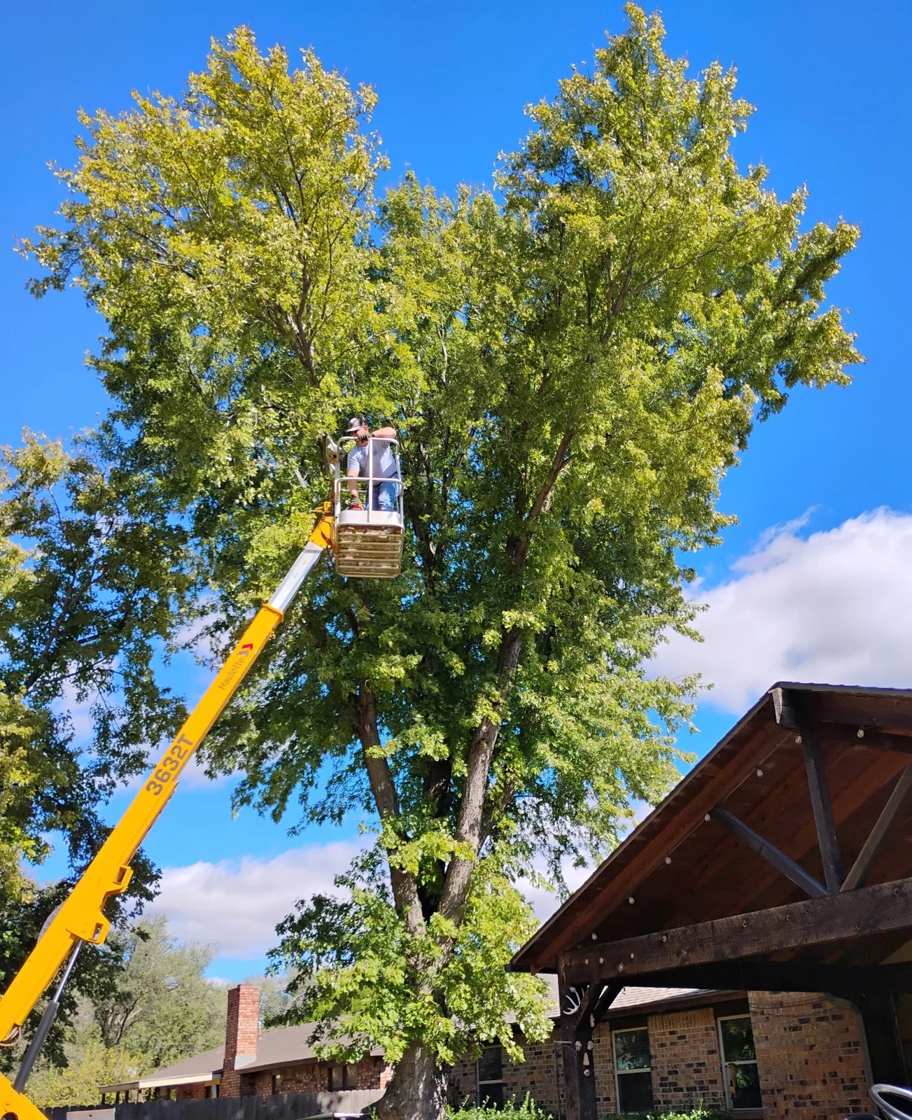 WN Tree Service working on a tree with a lift beside a building